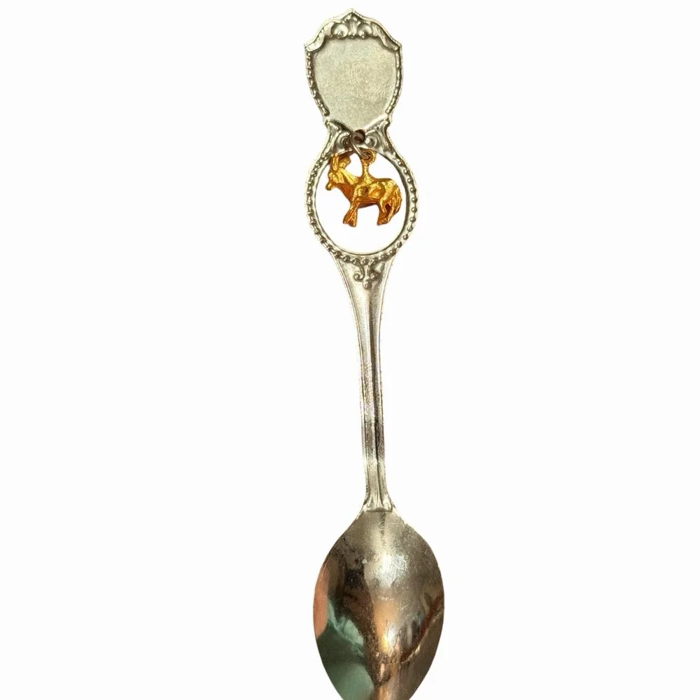 Unbranded vintage souvenir